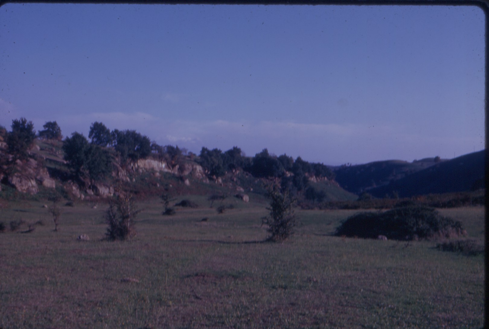 Riserva Naturale Regionale Monterano